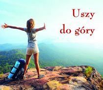 Uszy do góry