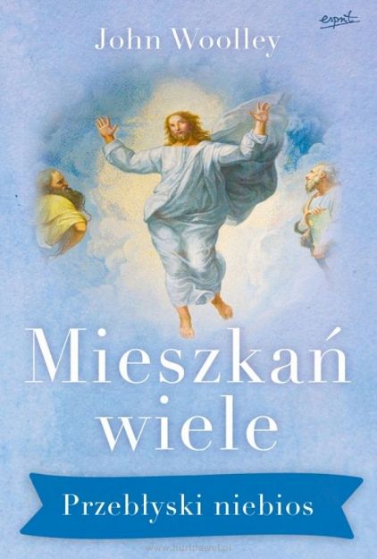 John Woolley - Mieszkań wiele. Przebłyski z niebios