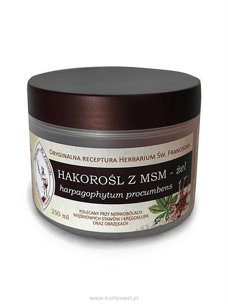 Żel hakorośli z MSM 250 ml