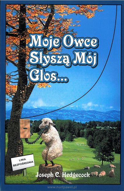 Moje owce słyszą mój głos