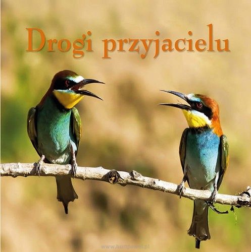 Drogi przyjacielu