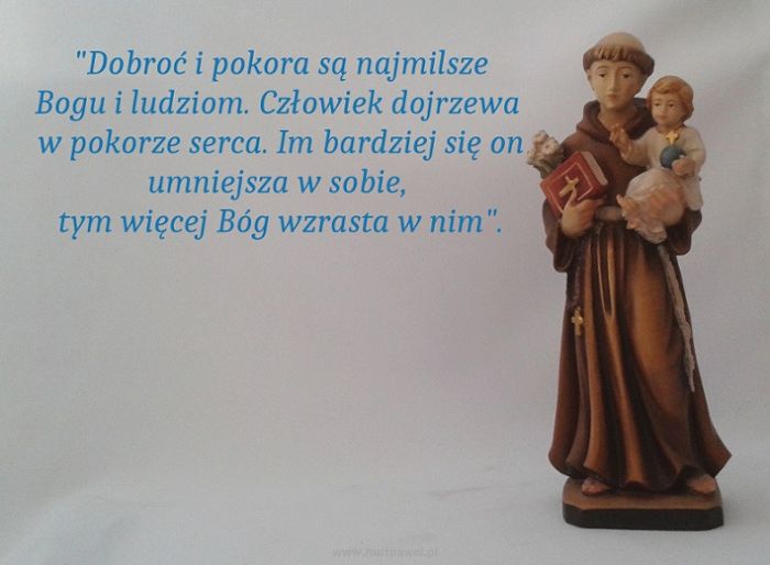 Święty od rzeczy zagubionych